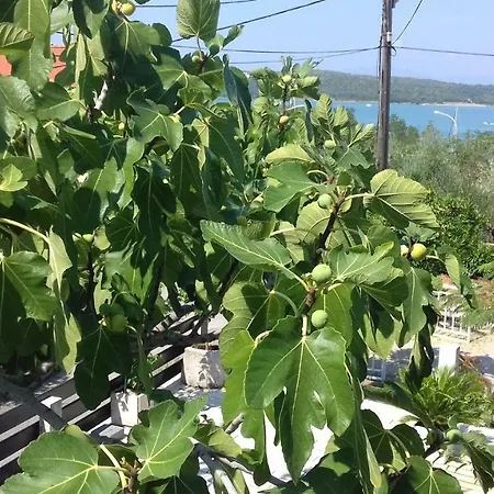 Meri Διαμέρισμα